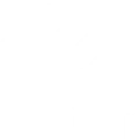 essilor logo